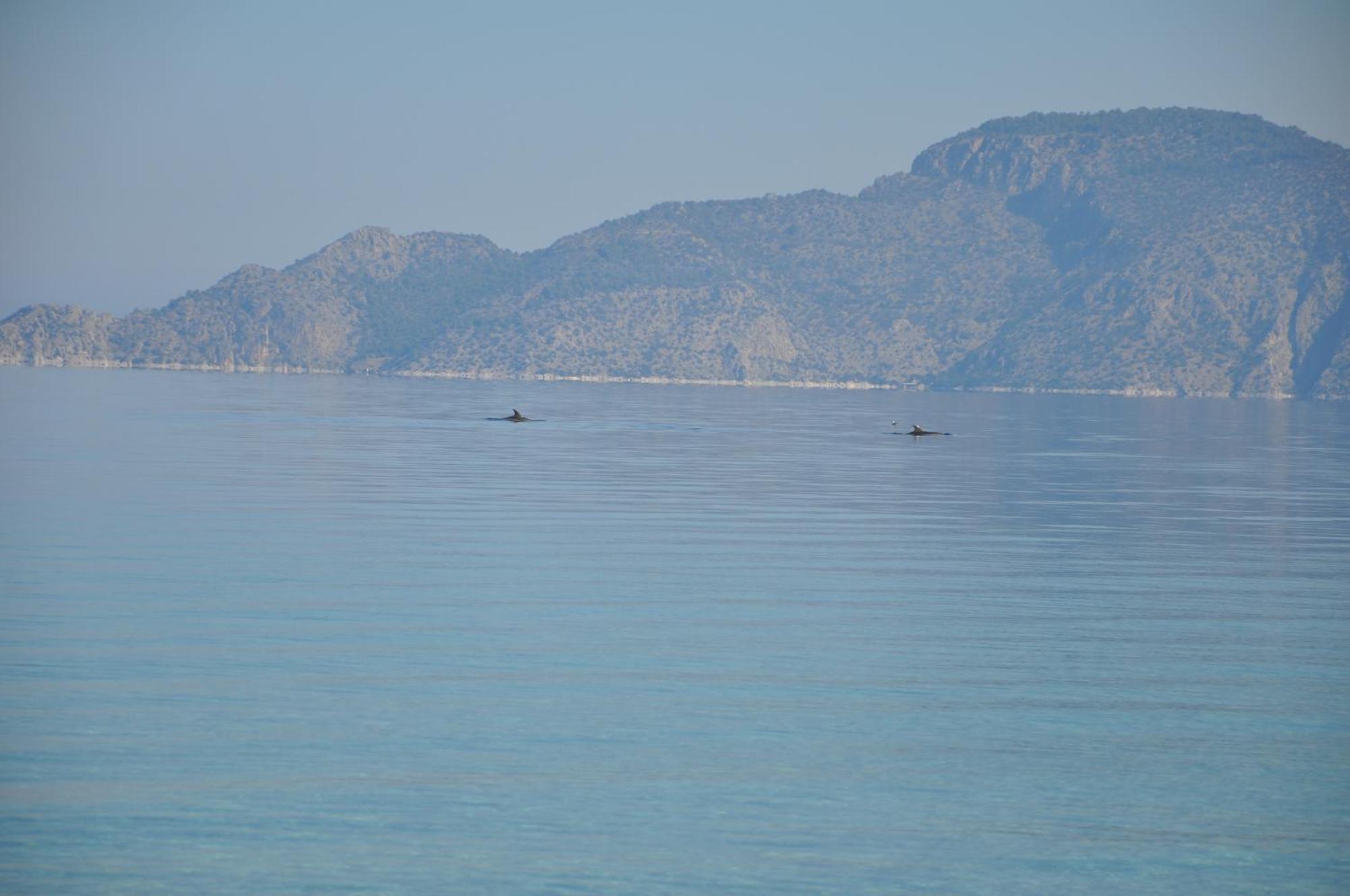 Villa In Kalloni Direkt Am Meer, Tolle Aussicht 外观 照片