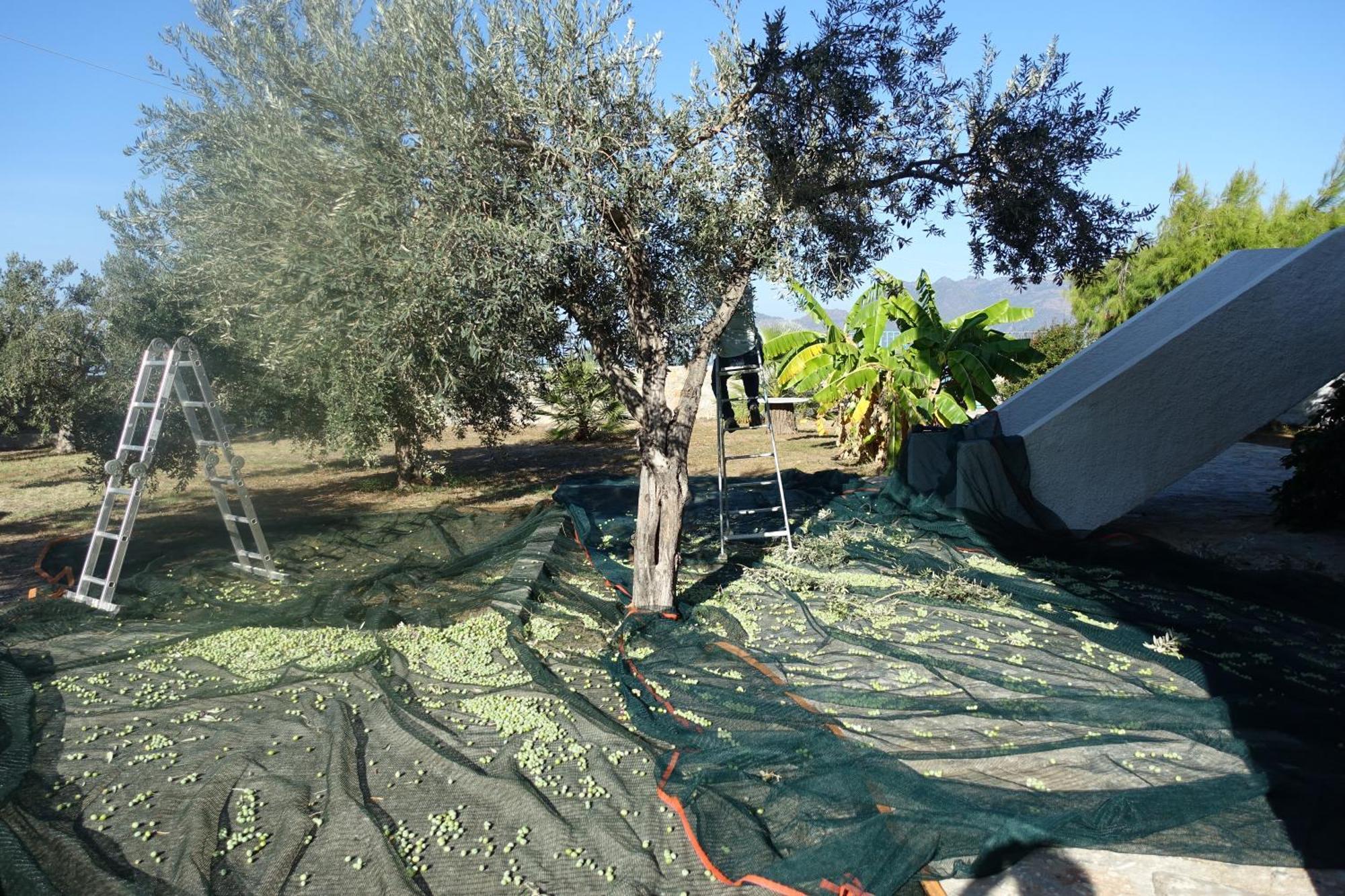 Villa In Kalloni Direkt Am Meer, Tolle Aussicht 外观 照片